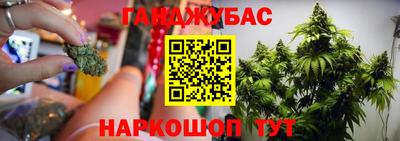 сатива Ликино-Дулёво