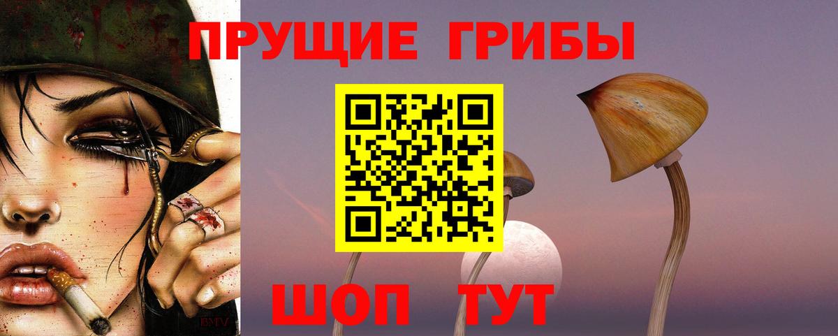 Изобильный  Псилоцибиновые грибы Psilocybe  Вход с VPN 
